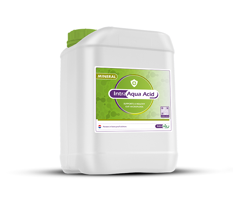 Intracare aqua acid 10L