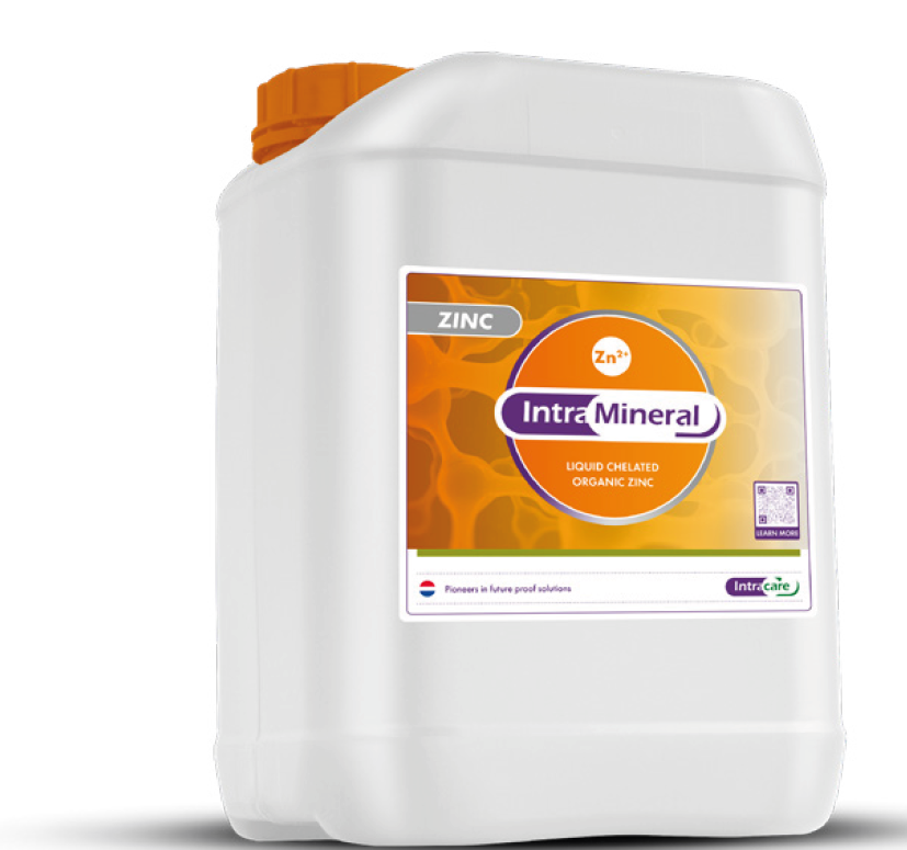 intrcare zinc mineral 10L