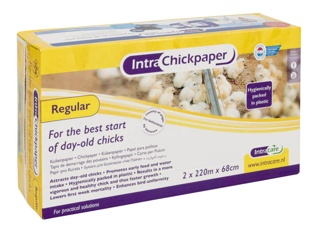 intracare chickpaper regular grade